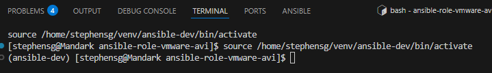 Integrated terminal with the ansible-dev environment active.