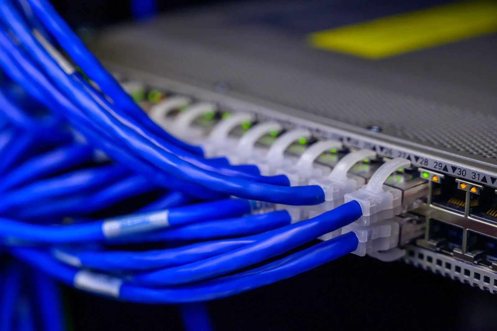 Blue Ethernet cables connected to a network switch.